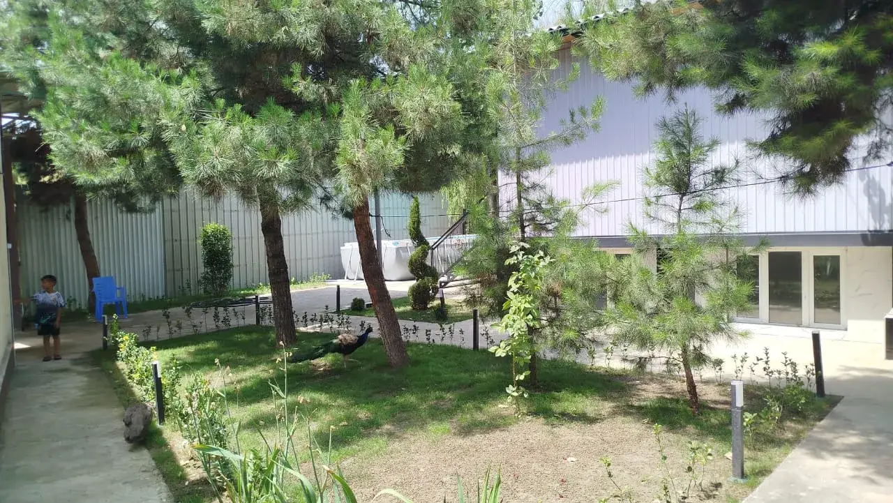 Dacha 9km
